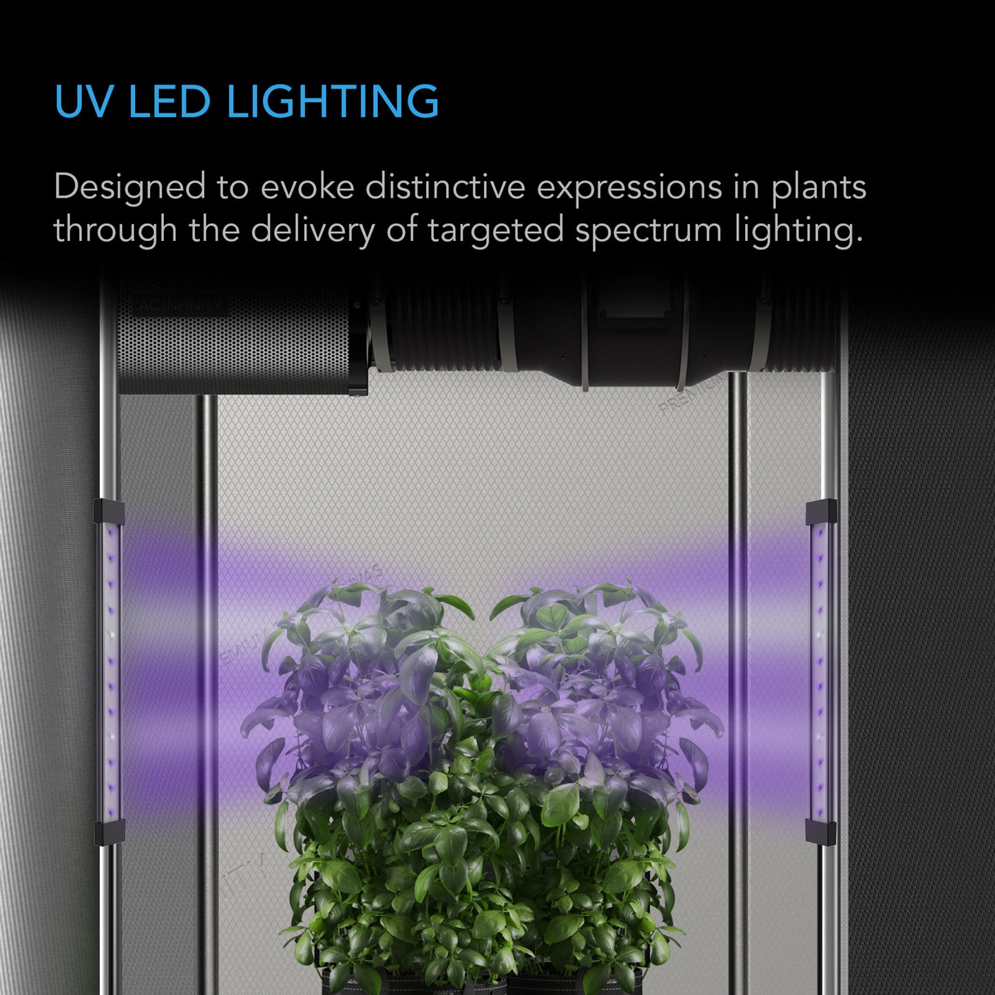 IONBEAM U4, Targeted Spectrum UV LED Grow Light Bars, 4-Bar Kit, 11-Inch