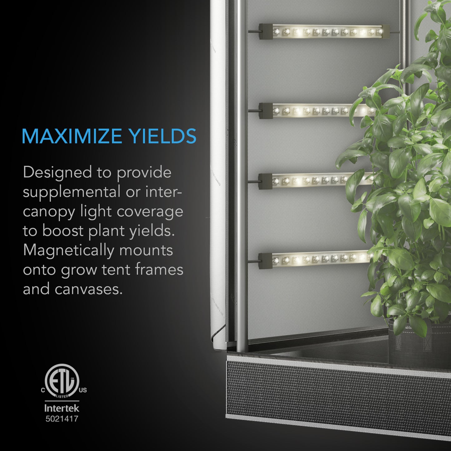 IONBEAM S16, Full Spectrum LED Grow Light Bars, Samsung LM301H EVO, 16-Inch